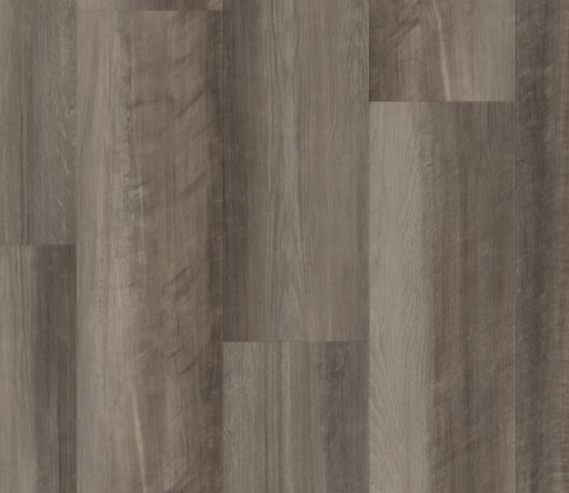 Shaw Endura Plus Oyster Oak
